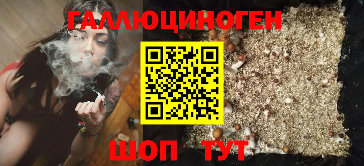 Псилоцибиновые грибы GOLDEN TEACHER  Вход с VPN  Люберцы 